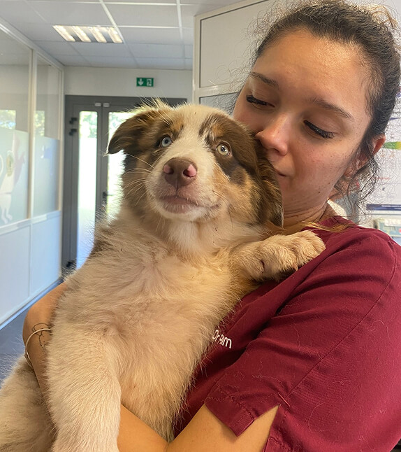 Clinique-2 Découvrez le Cabinet Vétérinaire du Lion au Pradet