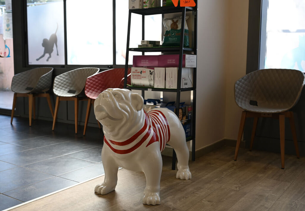 Boutique en ligne  –Cabinet vétérinaire du Lion au Pradet