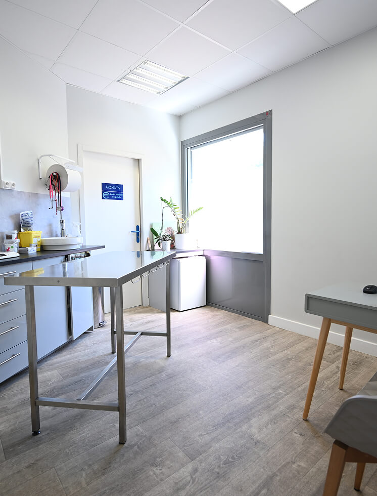 Veterinary Services in Pradet – Cabinet du Lion
